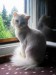 svetlana130820a