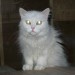 svetlana130807a